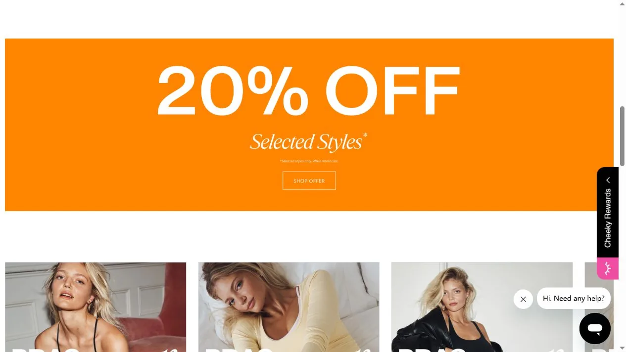 Minimiser, Sports, or Everyday Bra? Choosing the Right Bras N Things Category supporting image 1